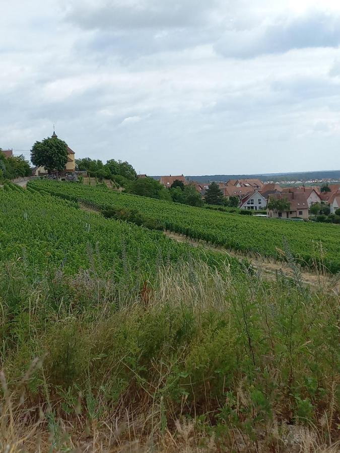 Gite Au Nid De Cigognes Villa Dieffenthal Exterior foto